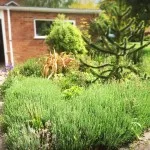 Drive Dwarf Wall Circle Feature Stonemarket Millstone Original Flagstones Driveway Hempstead
