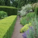 Green Man Gardens Landscape Gardening gravel pathway drive screening
